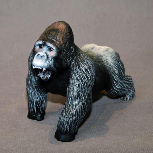 Barry Stein Mombo (Gorilla)